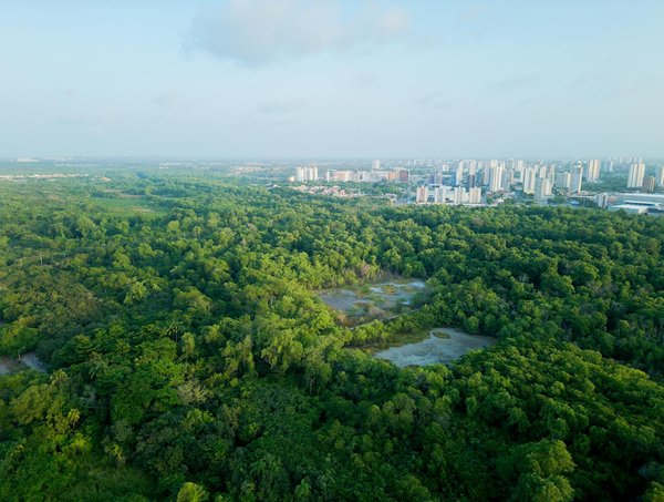 Les Coulisses du Travail en Clinique : Atouts et Défis Dévoilés